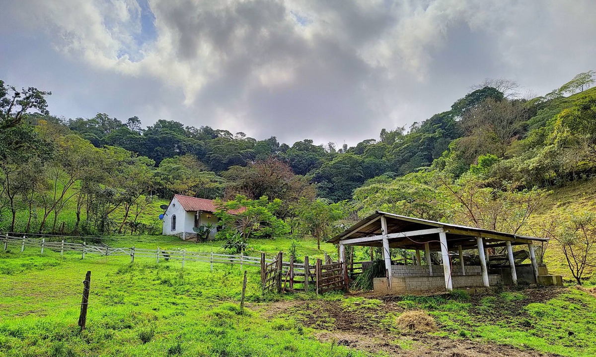 Xilitla Cabin | 15 minutes from the magical town of Xilitla SLP! SAN AUGUSTINE Cabin
