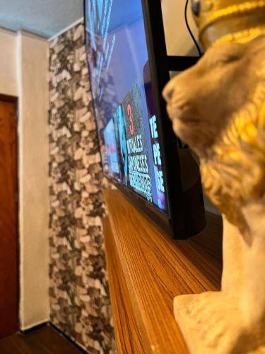 Orizaba Hotel | 20 m² Hotel ∙ 2 guests