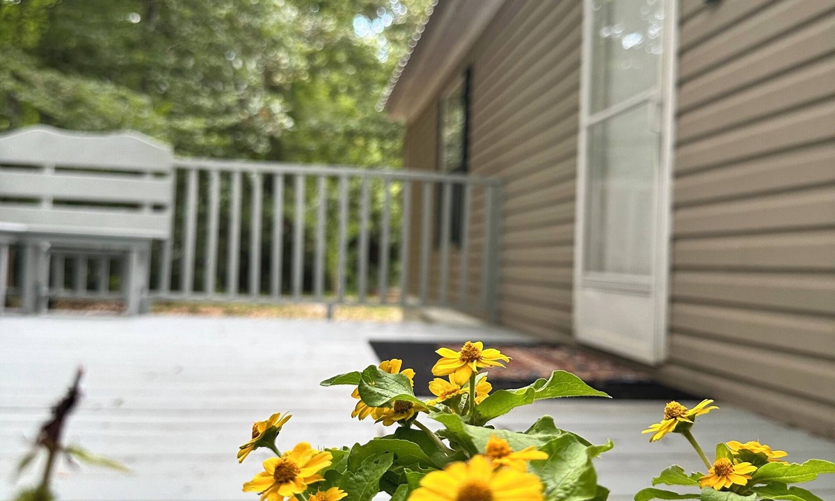 Fort White House | 3 Rivers Crystal Cabin 3 Bedrooms 2 Bathrooms ~ Nature Lovers Only