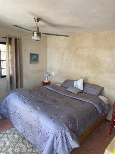Todos Santos Bed & Breakfast | 32 m² Bed and breakfast ∙ 2 bedrooms ∙ 4 guests