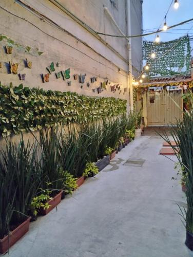Venustiano Carranza House | Alo México