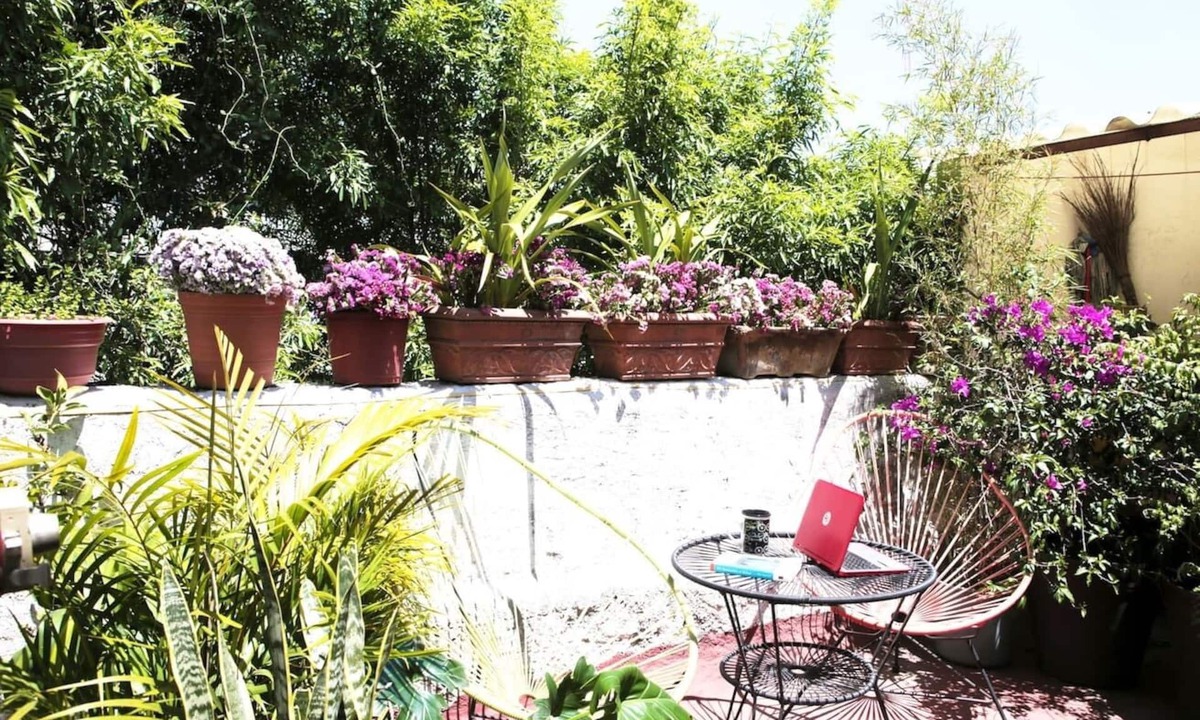 Colonia Roma Apartment | Best location Roma Norte next2 Condesa, Reforma, Down town