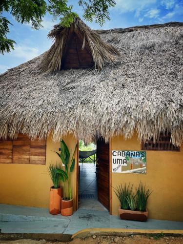 San Agustinillo Apartment | Cabañas Uma 1