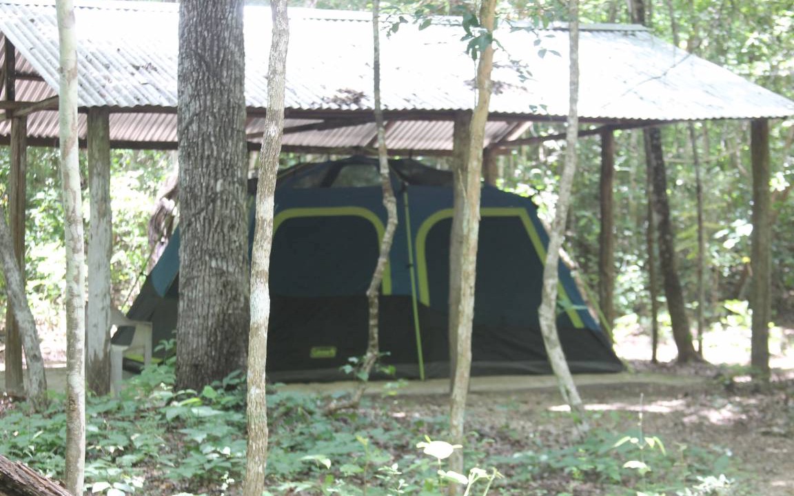 Calakmul Other | Camping ∙ 8 guests