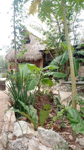 Tulum Other | Camping Rancho El Tauro