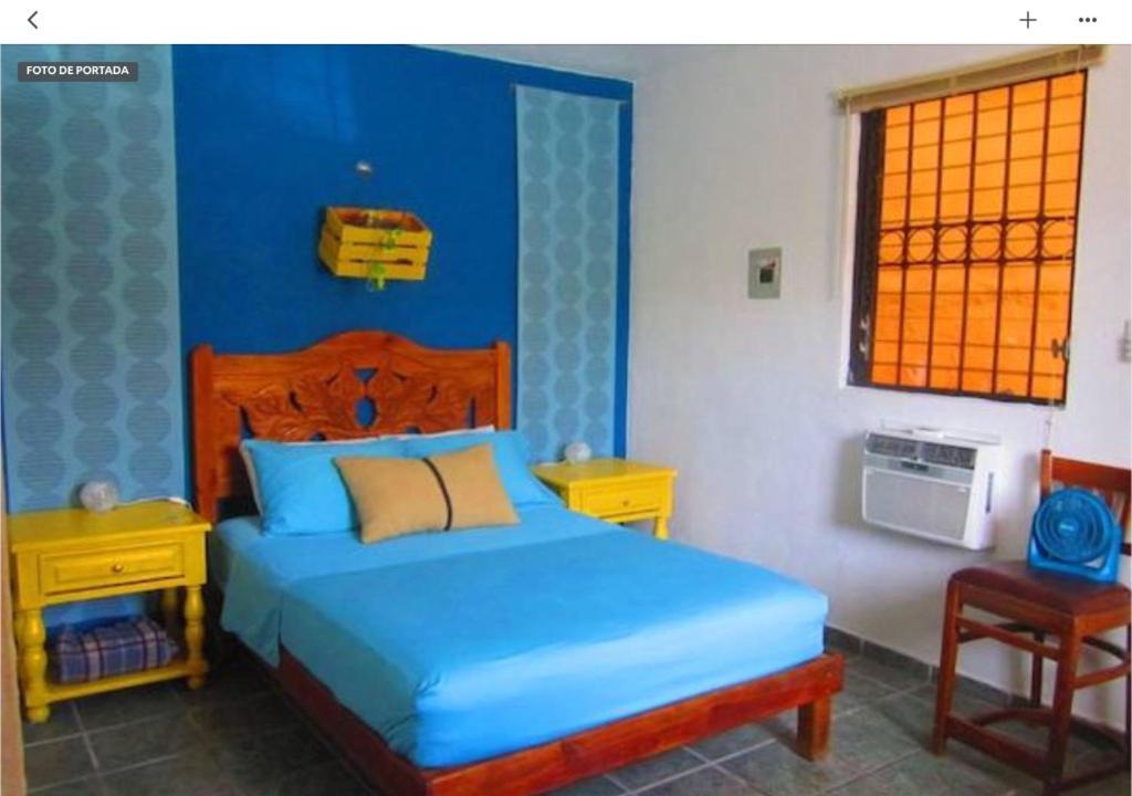 Centro Apartment | Casa de Hojas