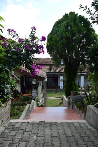 San Agustin Etla Hotel | Casa de huéspedes vista hermosa