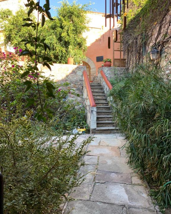 Guanajuato House | Casa Estrella