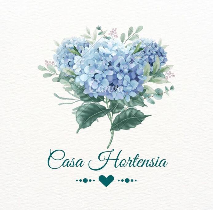 Queretaro Apartment | Casa Hortensia