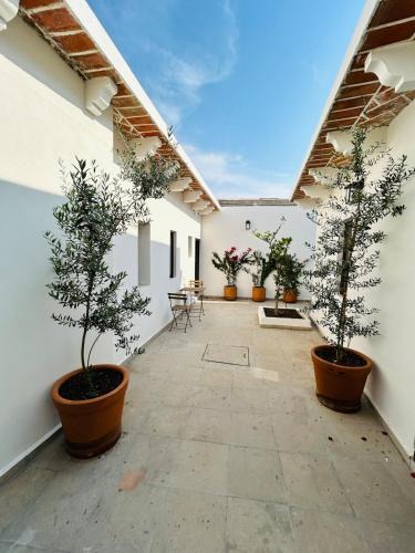Centro House | Casa Limones Hermosa casa en el corazon de TX 4px