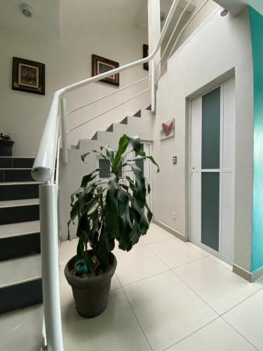 Santa Lucia del Camino House | Casa Lula