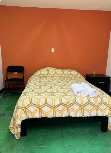Oaxaca House | Casa tulipán