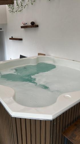 Jocotitlan House | Casa Viole