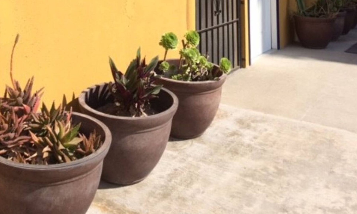 Zona Centro House | Charming apartment in Ensenada beach