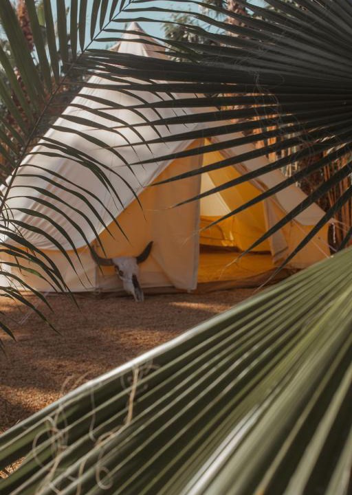 Todos Santos Other | Cien Palmas Tent 1