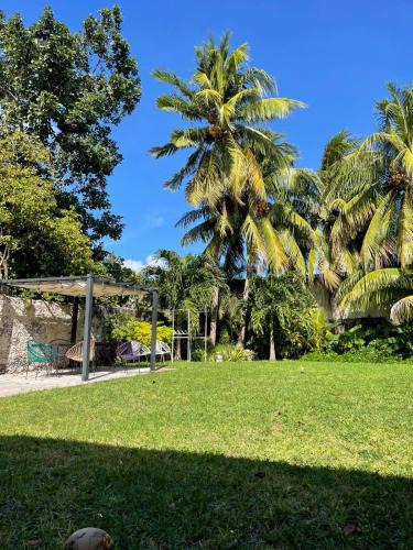 San Miguel Apartment | CoCo Cozy Apartment Centric and Private
