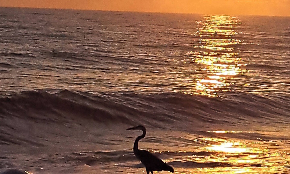 Melbourne Beach House | Cozy 2-bedroom townhome in charming Melbourne Beach Florida.