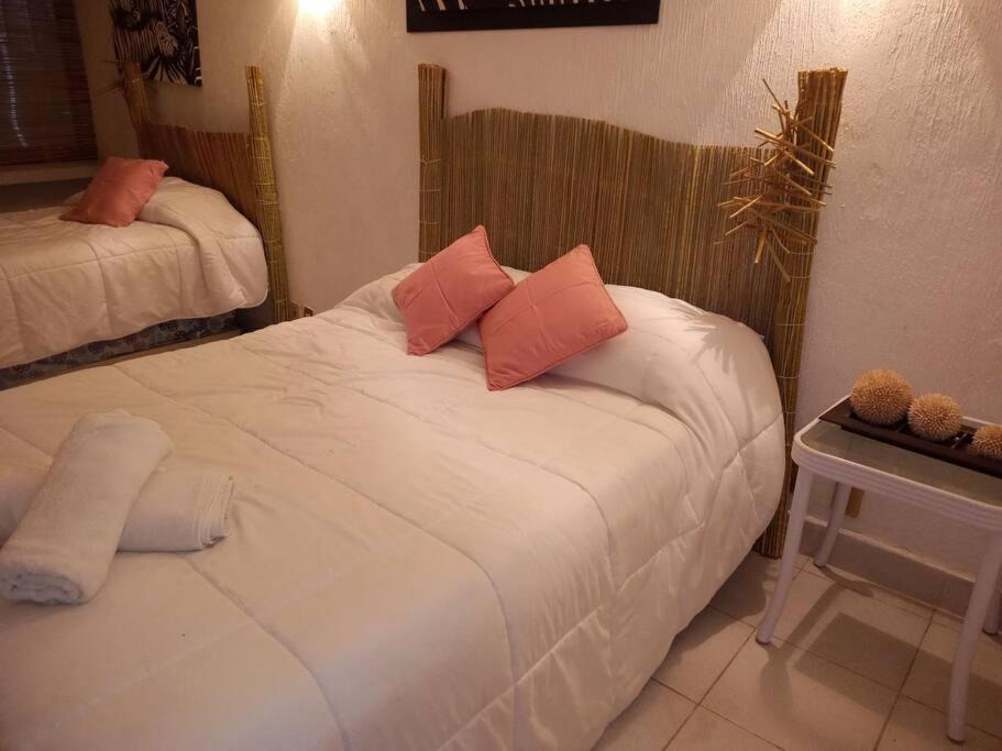 La Condesa Apartment | departamento de piedra