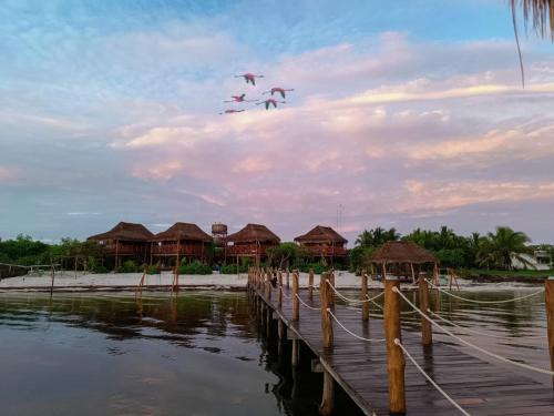 Dzilam de Bravo Cabin | Experiencia Casa Blanca