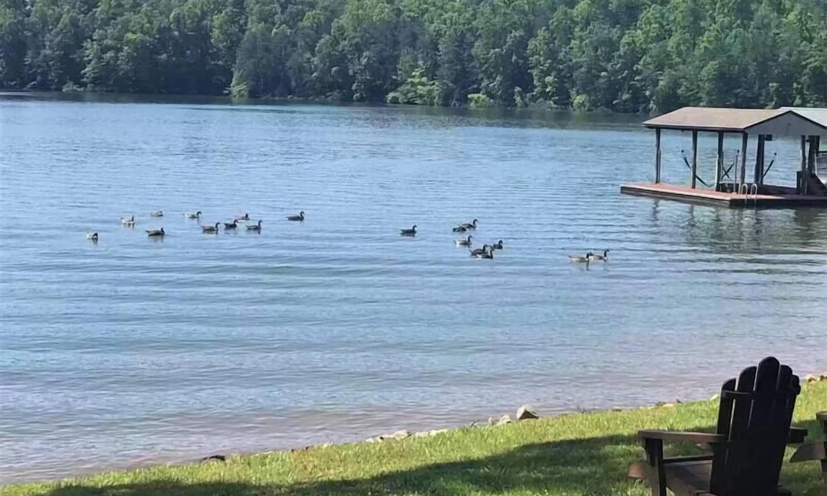 Moneta House | Flat Lot Lakefront with State Park Views