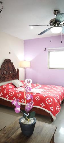 Colonia Emiliano Zapata Apartment | Gacelita Cozumel