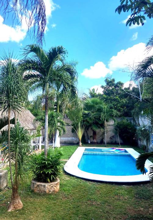 Leona Vicario Apartment | GREEN PARADISE LEONA VICARIO