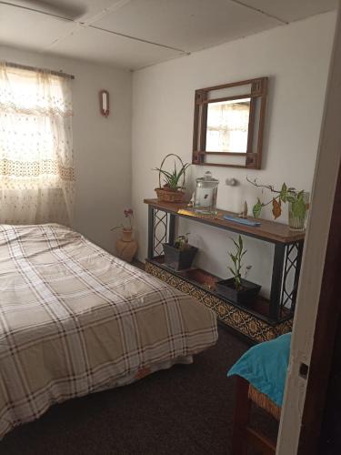 Chihuahua House | Habitacion Amatista