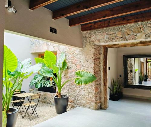 Downtown Queretaro Apartment | Hacienda Álamos