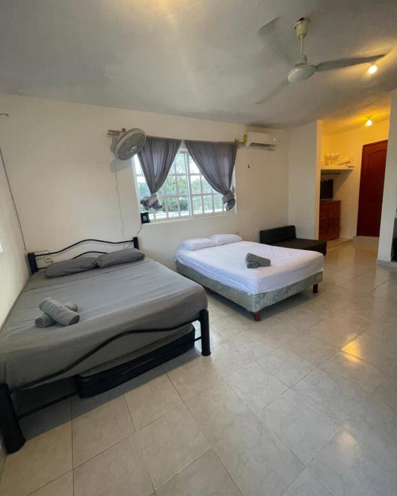 Colonia Centro Apartment | Homey studio in the CENTRO of town !