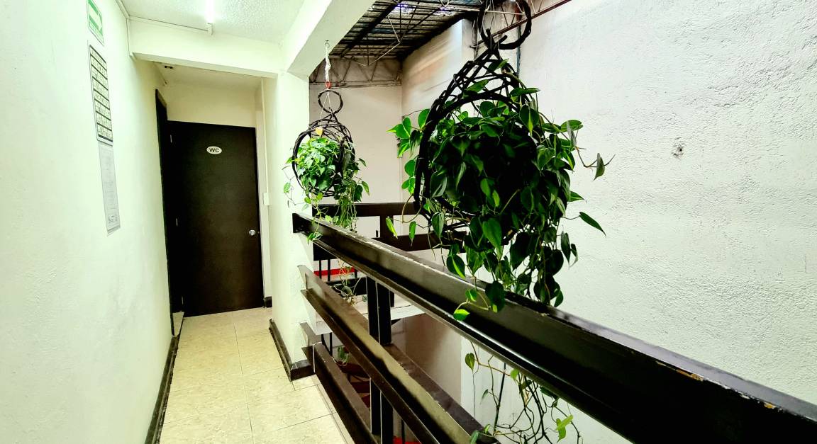 Cuauhtemoc Hostel | Hostel ∙ 8 guests