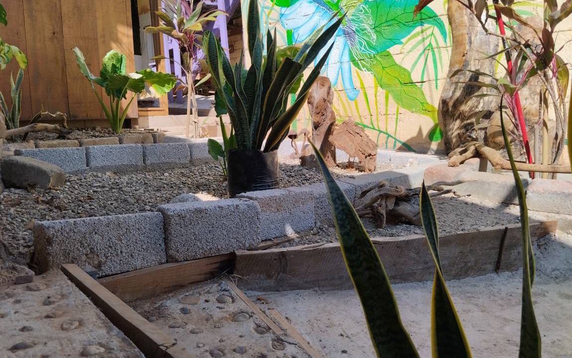 Mazunte Hostel | Hostel ∙ 8 guests