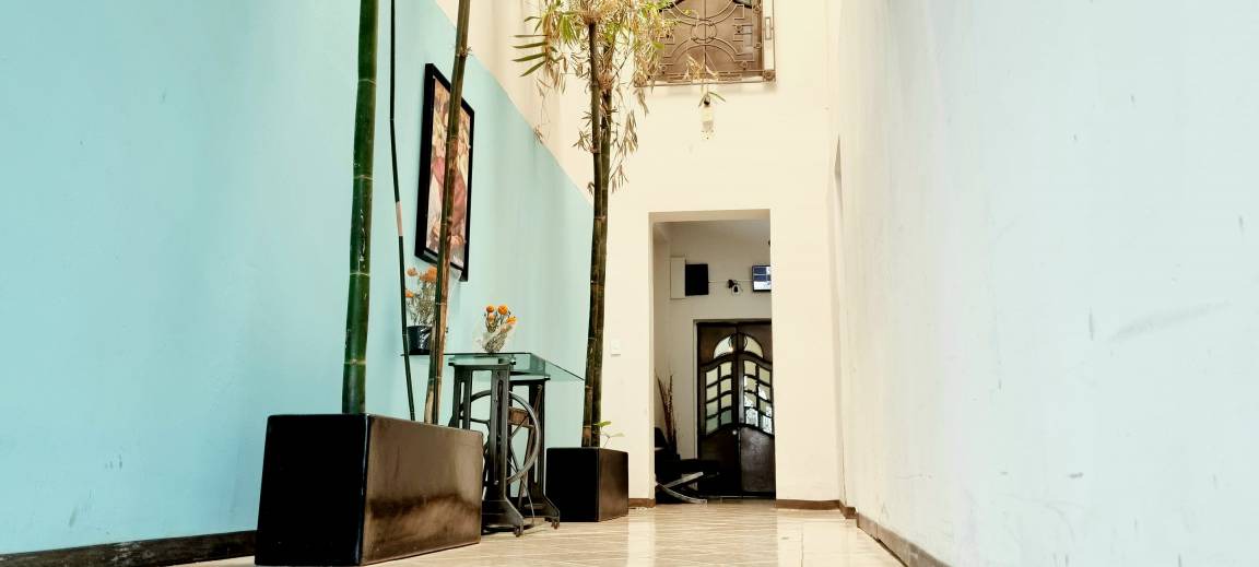 Colonia Roma Hostel | Hostel ∙ 8 guests