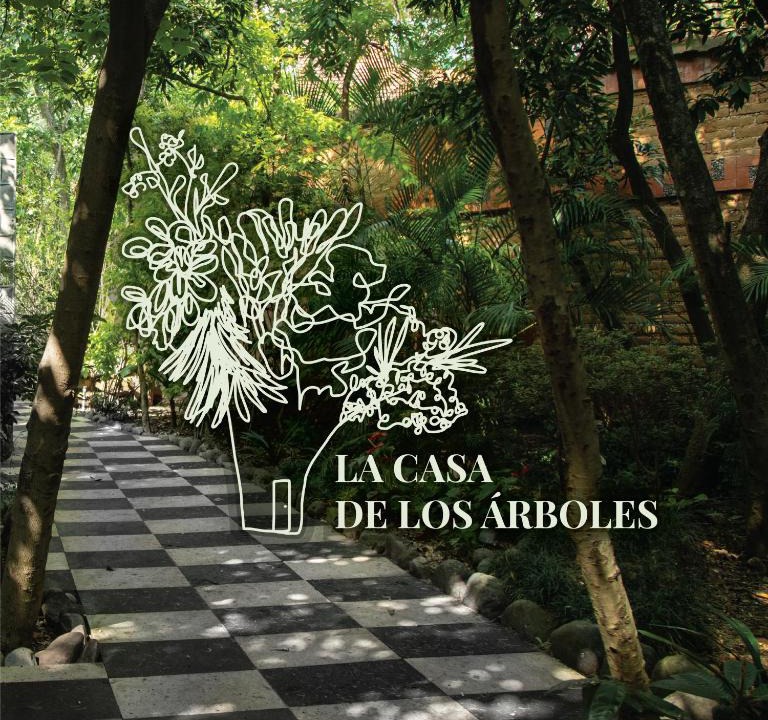 Zacaulpan de Amilpas Hotel | Hotel La Casa de los Árboles Immersive Experience