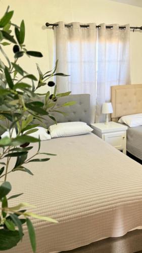 Ensenada Hotel | Hotel Mision Ferrer