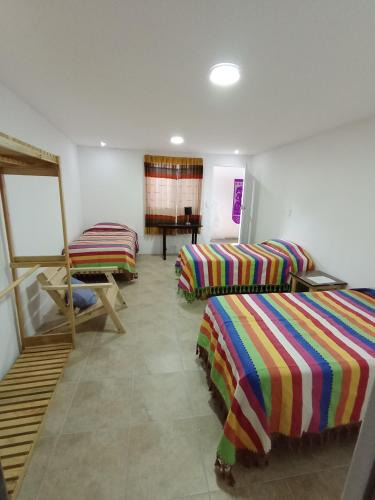 Ruta Independencia House | Iguana Coliving