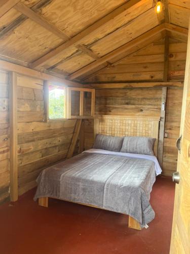 Toluca City-Centre Cabin | La cabaña