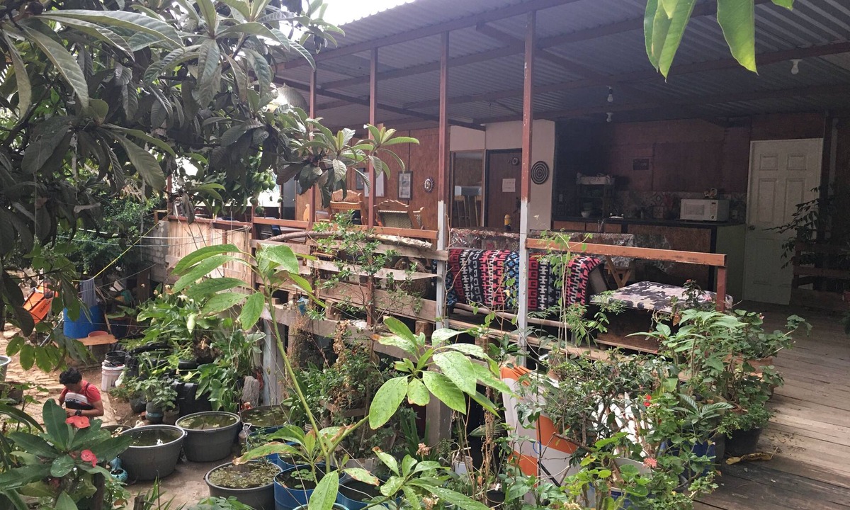 Oaxaca Hostel | La Casa Del Nenufar - Hostel