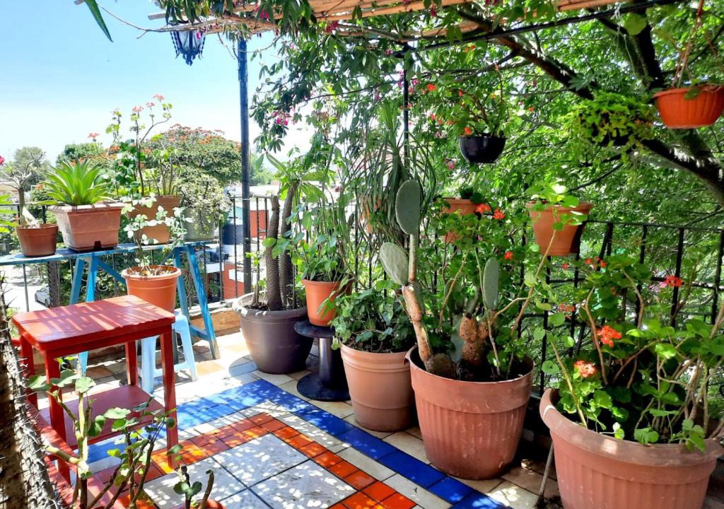 Oaxaca Apartment | La Terraza del Pochote