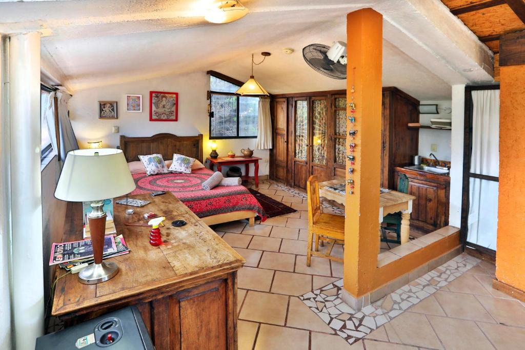 Cholula Apartment | Majikal B&B - Kali