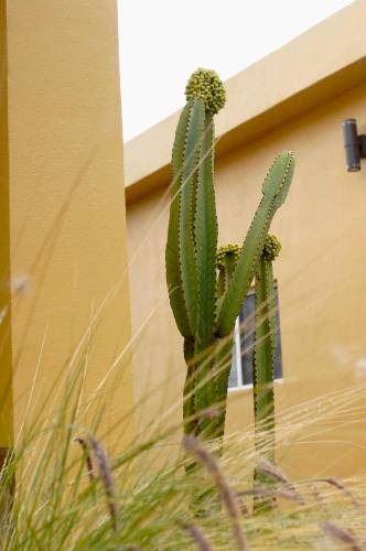 Ensenada Villa | 40 m² Villa ∙ 1 bedroom ∙ 4 guests