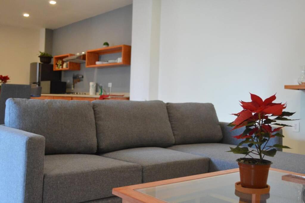 Fresnillo Apartment | Departamento Ilustre