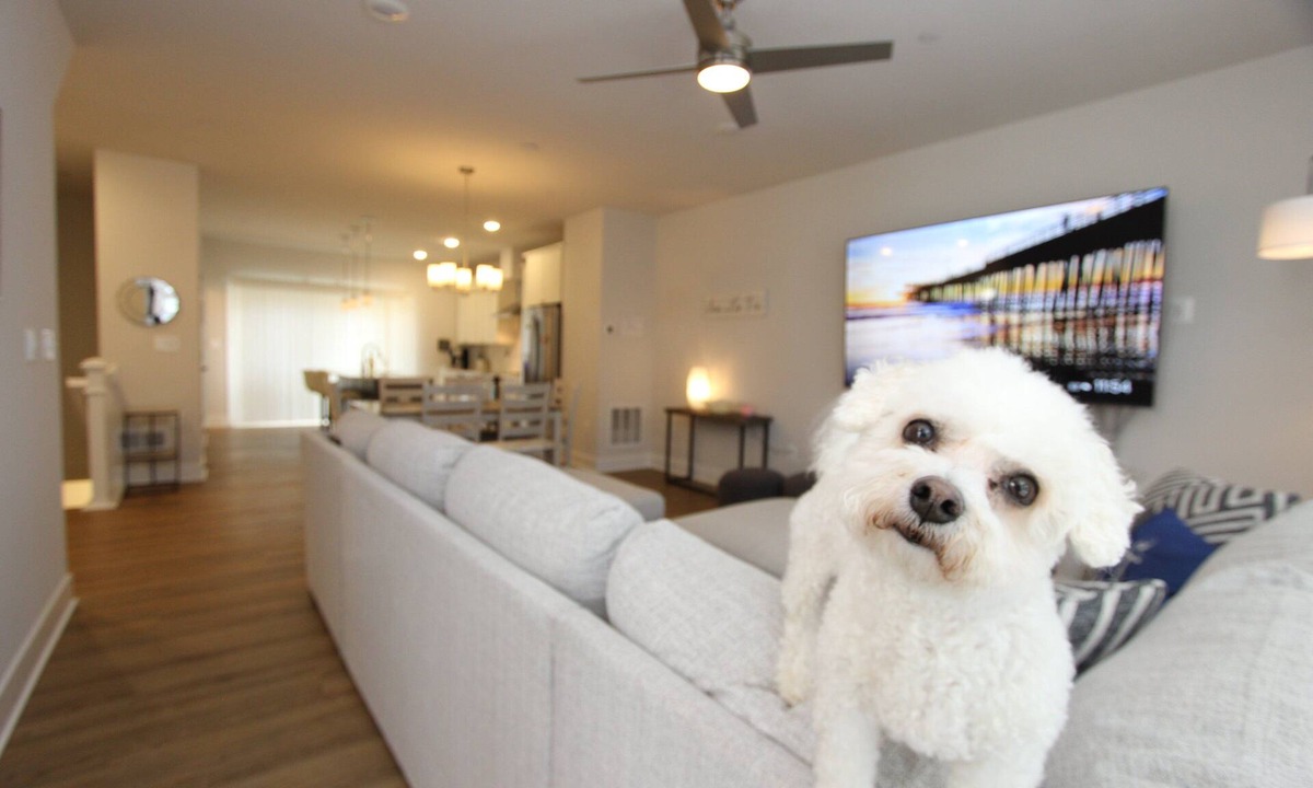 Parole House | Parking. Short Uber Ride. Townhouse in Annapolis! 3 Miles from USNA and Downtown