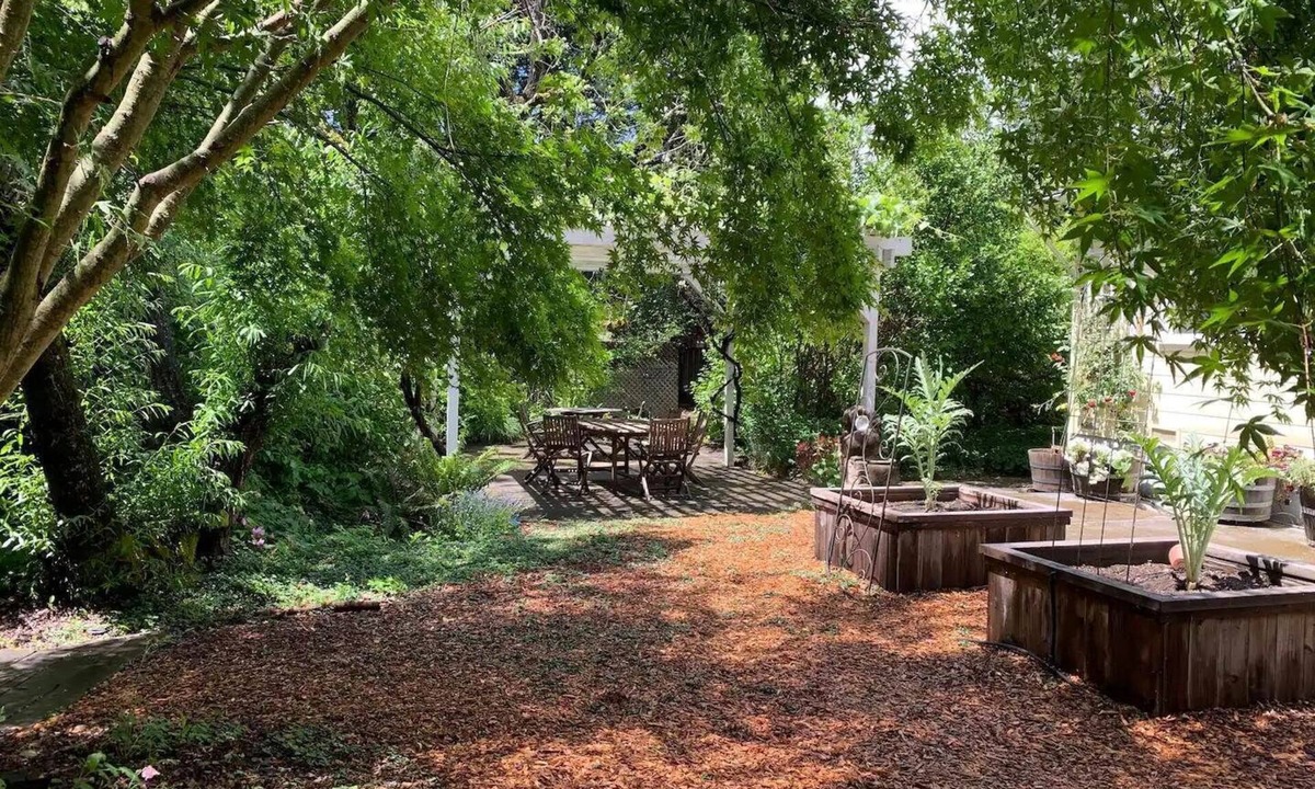 Graton House | Peaceful, charming, cottage in wine country. Beautiful yard!