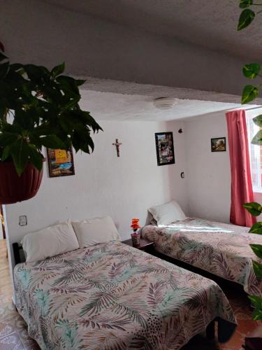 Orizaba Apartment | Quiet and beautiful apartment