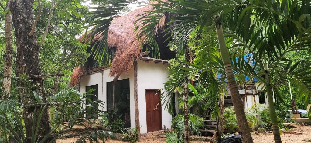 Macario Gomez House | SELVA ROCA