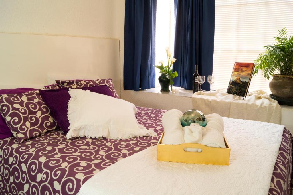 Campestre Apartment | Suite 3B La Paz, Welcome to San Angel