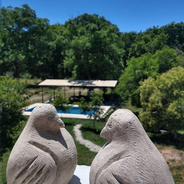 Parras de la Fuente Hotel | Terragona