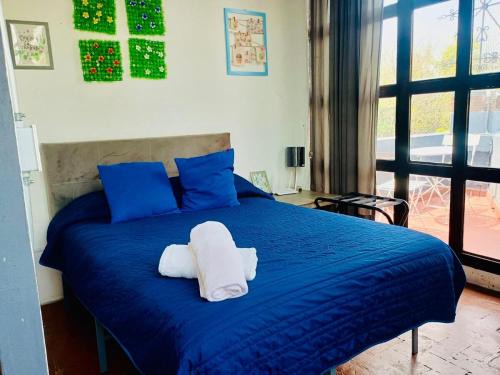 Coyoacan Apartment | Tizapan 07 NEW 1BE 1BA