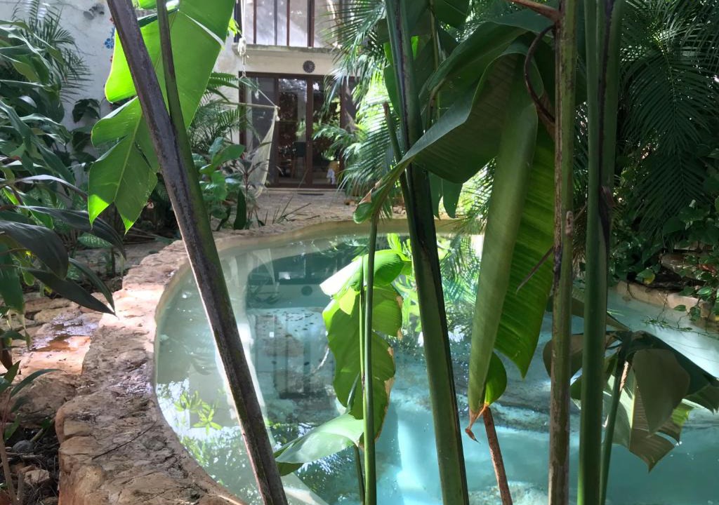 Merida Municipality House | Tropical Cenote Loft North City 420