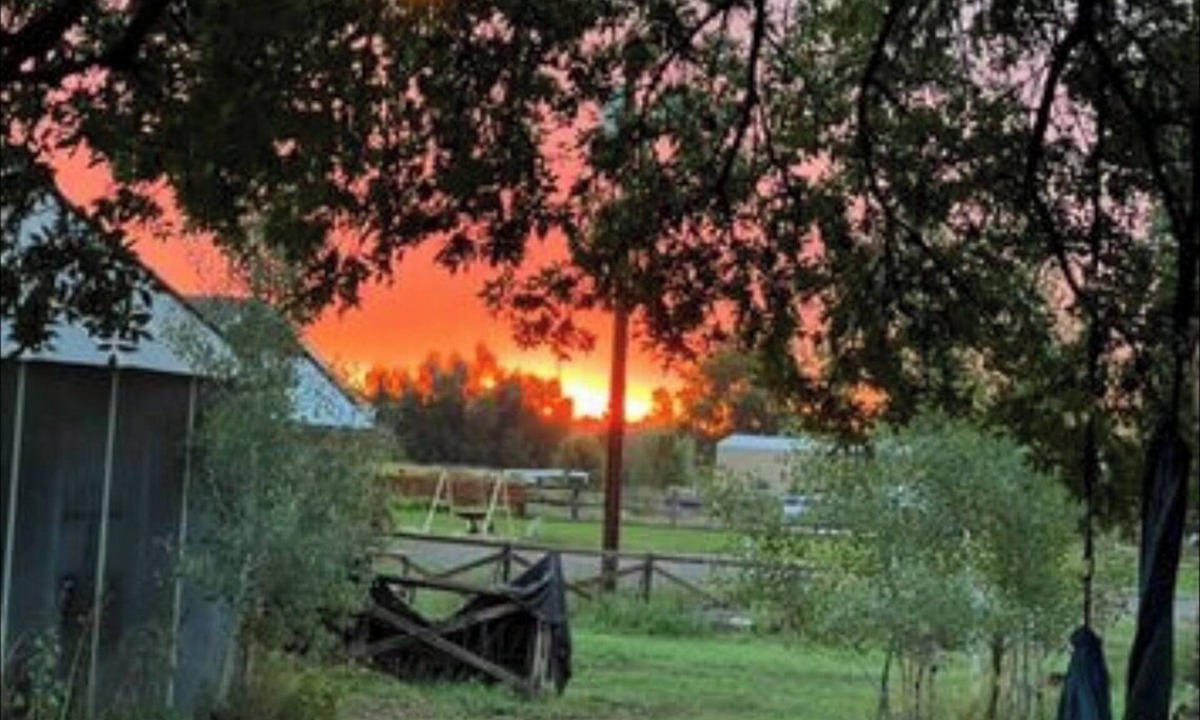 Longmont Apartment | Unique Boulder County Mini-Farm Apartment